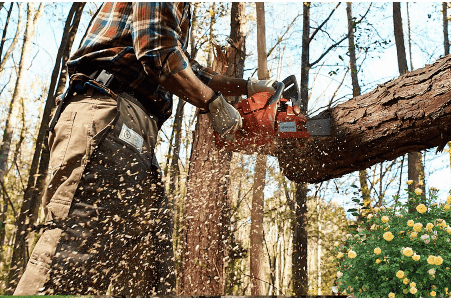 Best Chainsaw For Milling ,You Might Be Surprised Check It Out