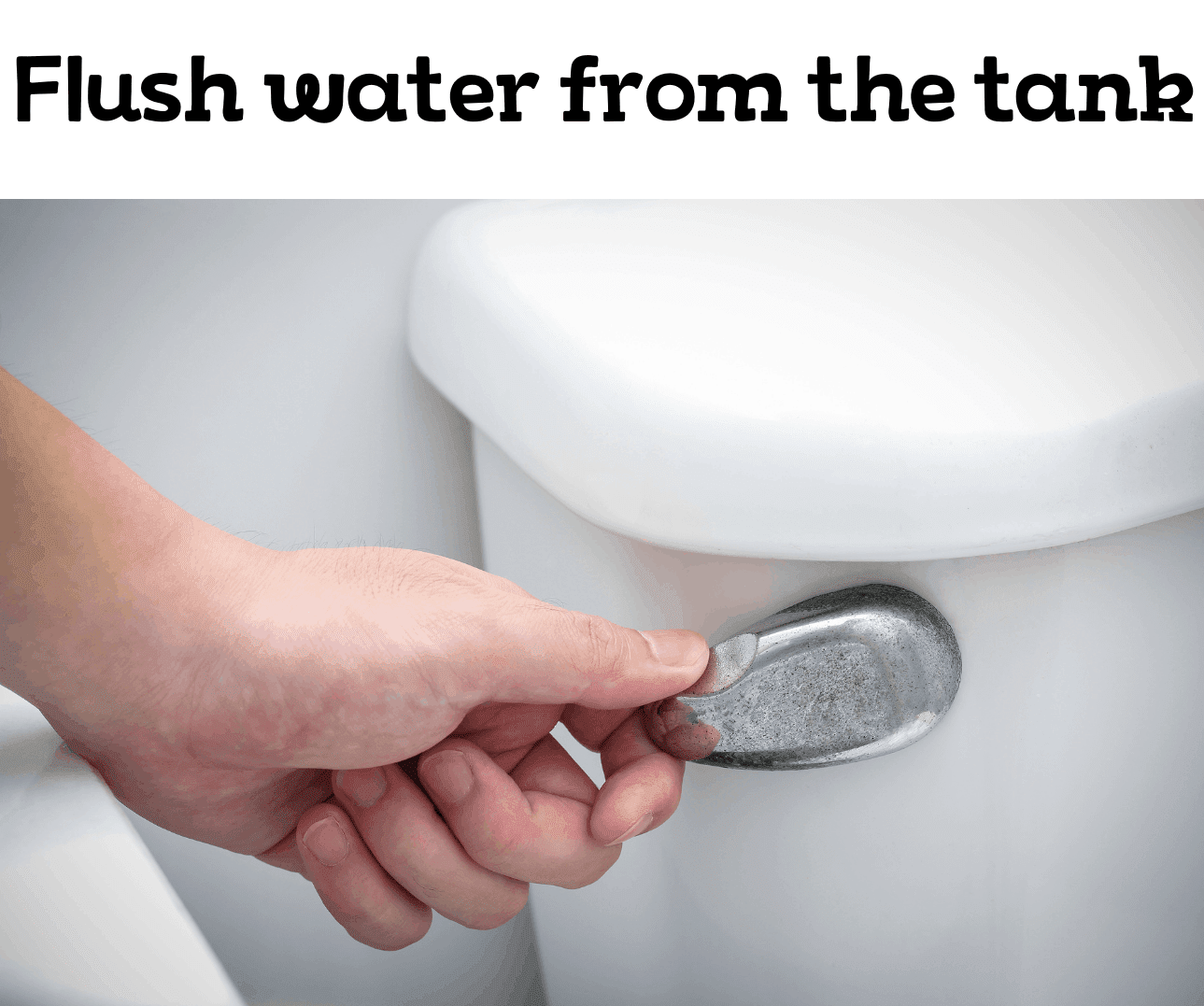 How to Unclog Toilets with Baking Soda? Pete's Tools