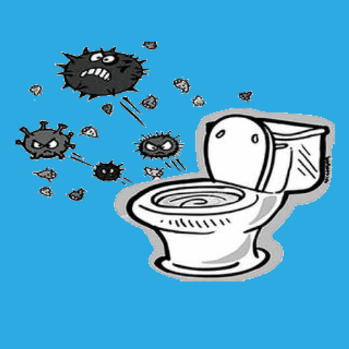 Toilet is Clogged With Poop Fix It Fast And For Free