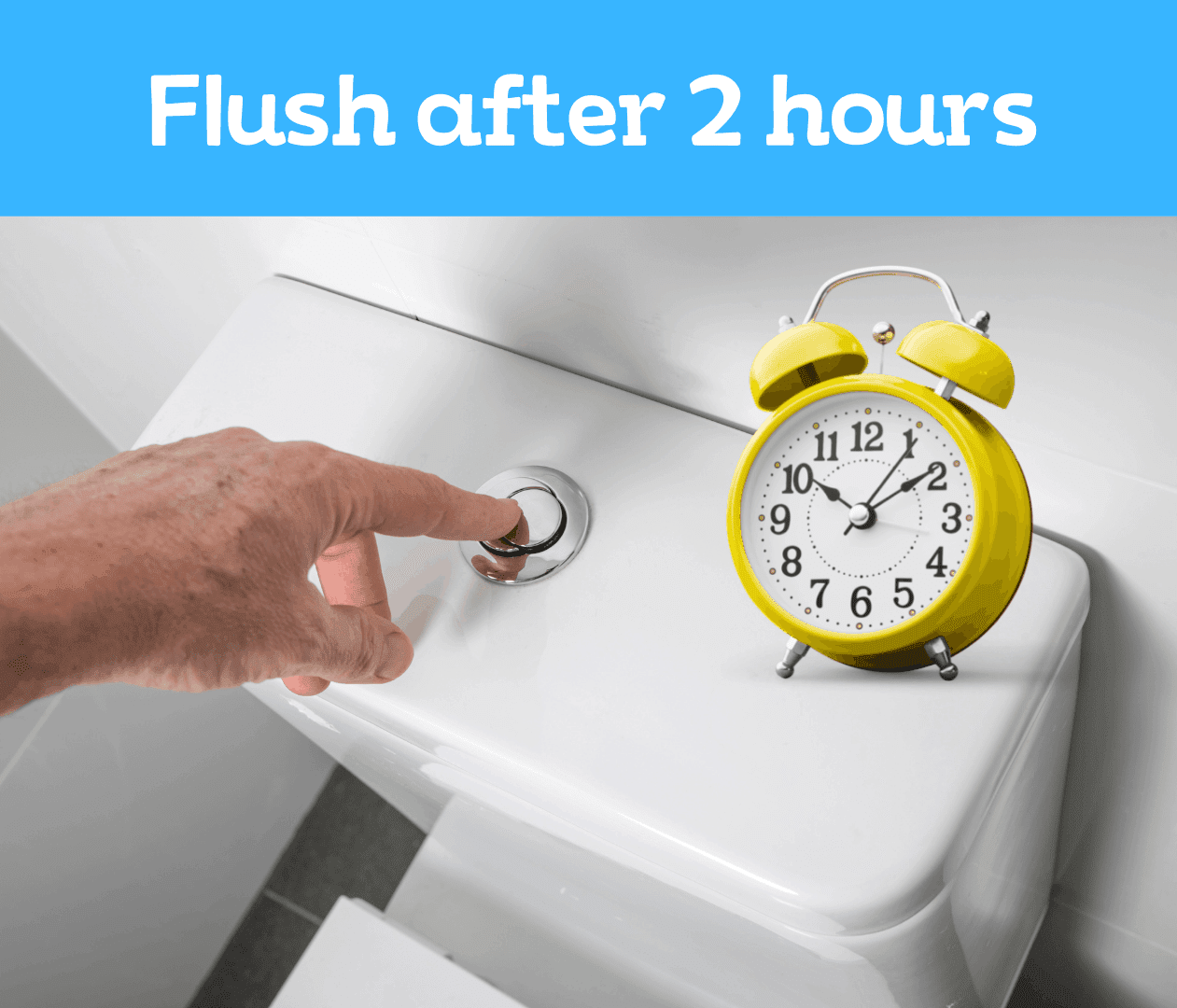 How to Unclog Toilets with Baking Soda? Pete's Tools