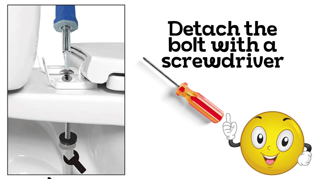 How to Replace Toilet Seat? Pete's Tools Tips and Tricks