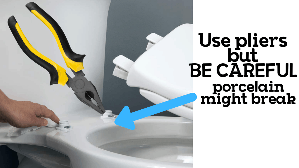 How to Replace Toilet Seat? Pete's Tools Tips and Tricks