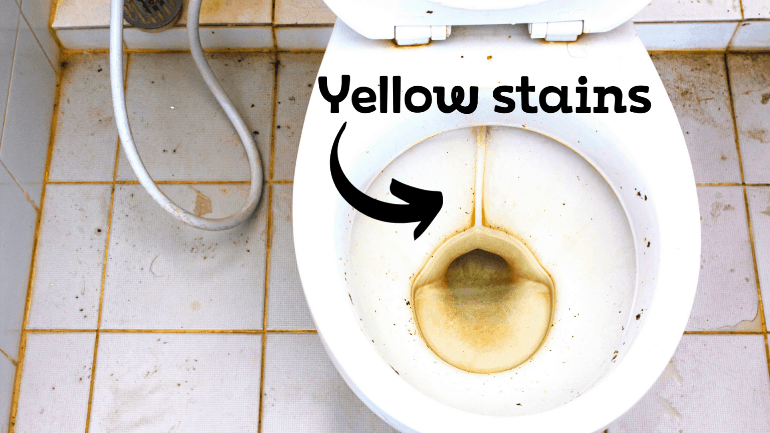 WD 40 to Clean Toilet Really ??? Checkout What We Discovered