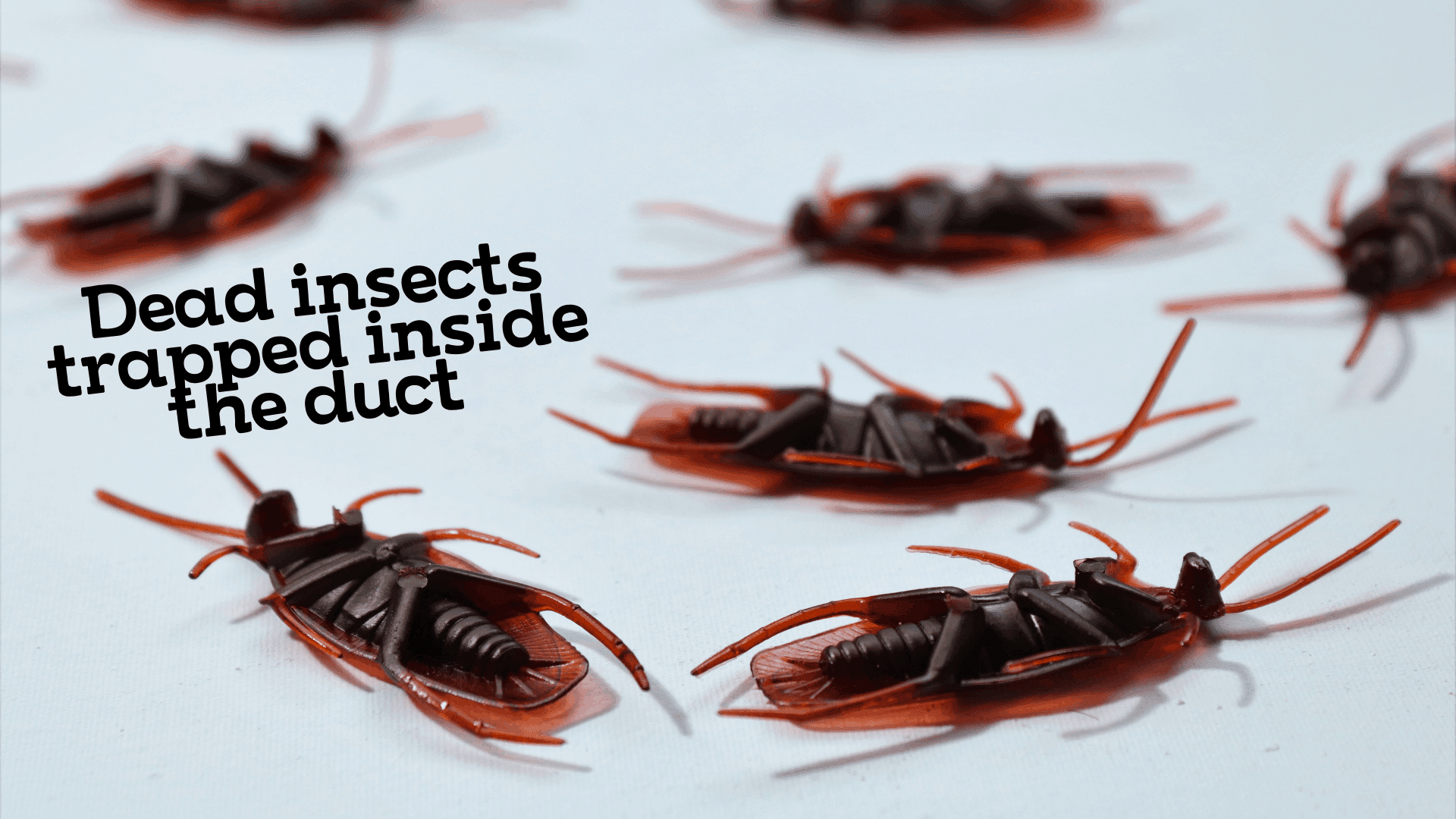 Air Con Smells Musty Fix It Fast With Our Tips And Tricks Save Money